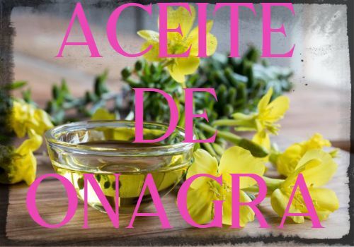 ⇨ Aceite De Onagra Propiedades Usos Y Beneficios 3605